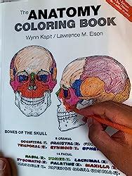 Anatomy Coloring Book, The: Amazon.co.uk: Kapit, Wynn, Elson, Lawrence