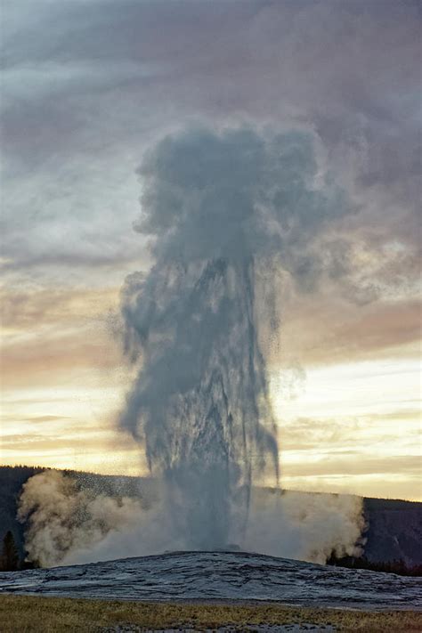 Eruption Old Faithful Geyser In Yellowstone National Park Wyoming
