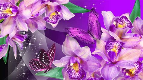 Purple Butterfly Wallpapers Wallpaper Cave