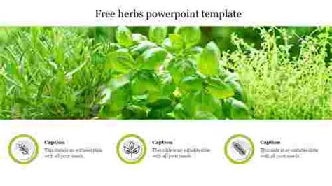Top 25 Attractive Herbal Medicine Powerpoint Templates