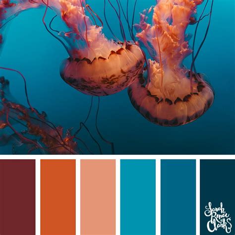 Color Palettes Inspired By Ocean Life And Pantone Living Coral