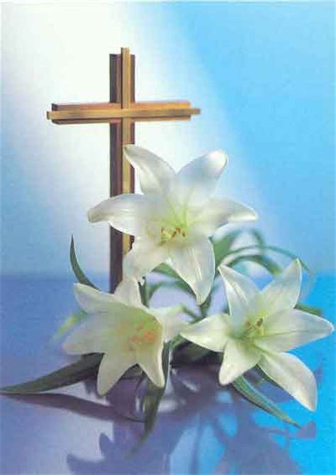 Easter Lilies Deadline To Purchase March 14th Garden Grove United