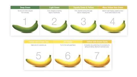 Freshpoint Freshpoint Produce Banana Ripening Chart
