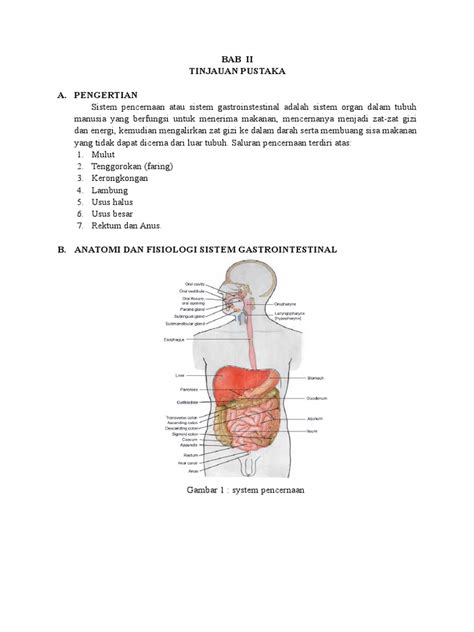 Anatomi Fisiologi Sistem Pencernaan Pdf