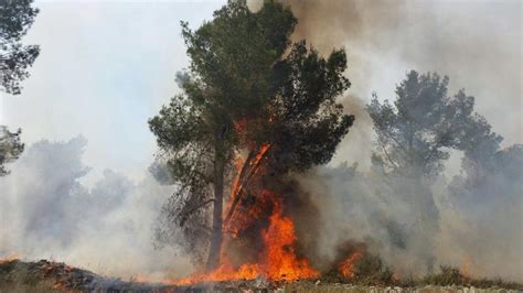 מהמבנה חולצו מספר לכודים חלקם נפגעו באורח קל. אש בגלל מנגל: שריפה איימה על בתים בירושלים