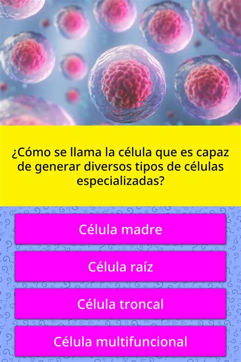 ¿cómo Se Llama La Célula Que Es Las Preguntas Trivia Quizzclub