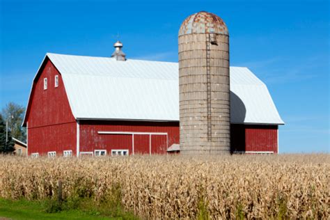Red Barn Silo And Corn Field Stock Photo Download Image Now
