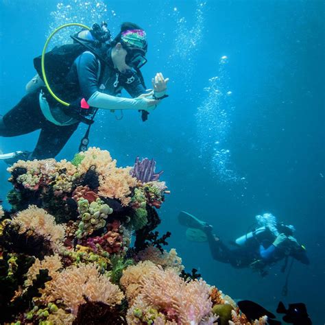 The Best Scuba Diving Spots In The Philippines Desertdivers
