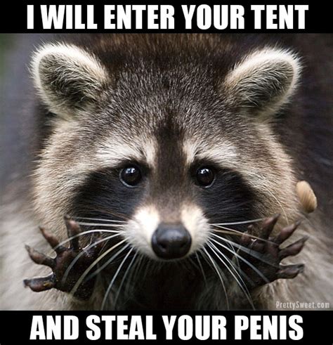 An element of a culture or system of behavior that may be considered to be passed from one individual to another by nongenetic means, especially. 21 Hate Camping Memes: Raccoons, Spiders, Bears, Oh My!