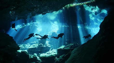 The Top 3 Cenotes To Dive In Tulum Mexico Pigs Fly Cheap