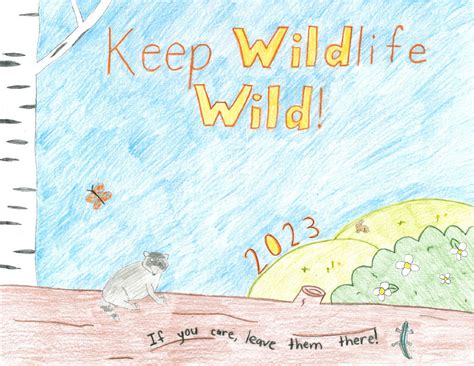 Dnr Announces 2023 Keep Wildlife Wild Poster Contest Winners Mid West