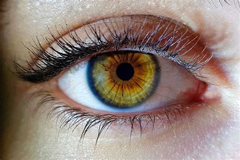 Identifican 50 Nuevos Genes Que Intervienen En El Color De Los Ojos Bmn