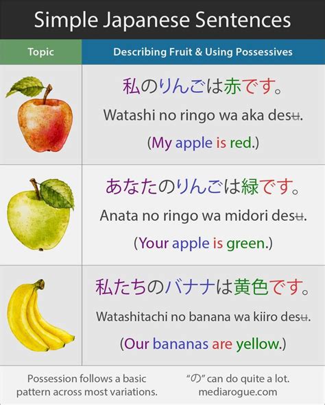 simple japanese sentences japanese sentences learn japanese basic japanese words