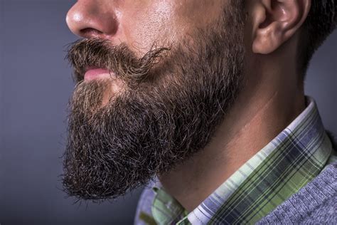 If You Want A Wife You Should Grow A Big Beard According To Science