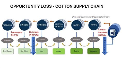 Loss Of Capacity And Skills In Cotton Value Chain Costs Sa R20bn Cape