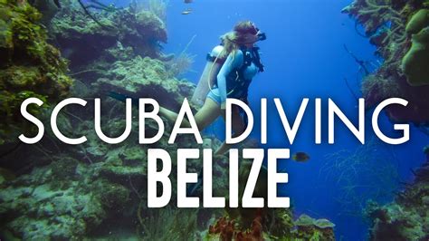 Scuba Diving The Blue Hole And Barrier Reef In Belize Youtube