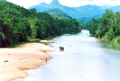 Sri Lanka Nature Rivers