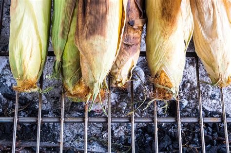 Corn Are Grilled On Grill Grates Stock Photo Image Of Maize Fresh