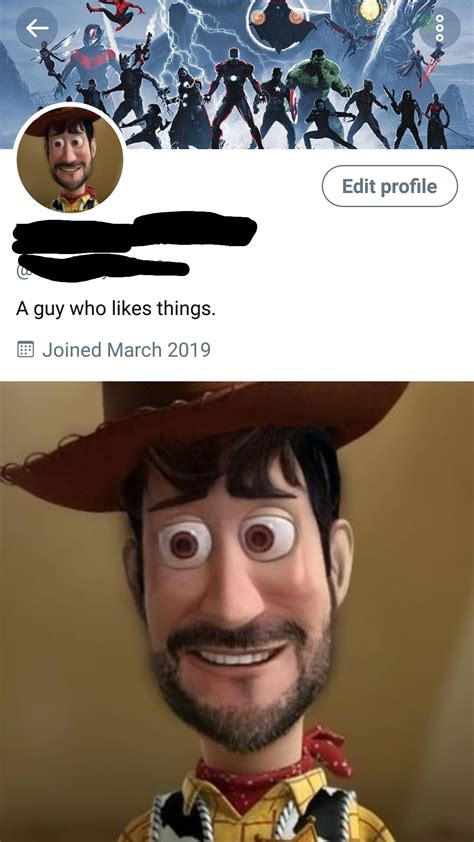 30 Meme Funny Profile Pictures To Use - Woolseygirls Meme
