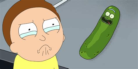 Rick And Morty Called Out Fans For Loving Pickle Rick Too Much
