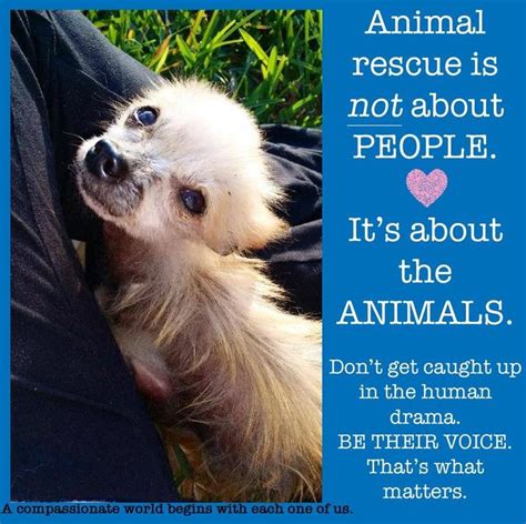 Pin By Rayme On Animal Quotes Animal Rescue Quotes Animal Protection