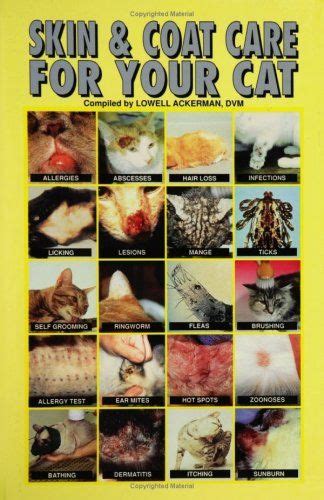 Common Cat Skin Problems Signs And Treatment Artofit