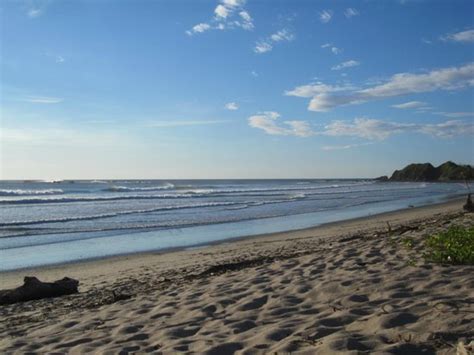 the beach picture of nosara beach playa guiones nosara tripadvisor