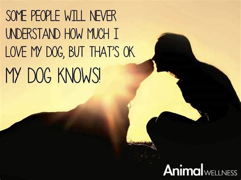 Pin by FireLillyCreations on Words That Fit | I love dogs, Dog quotes
