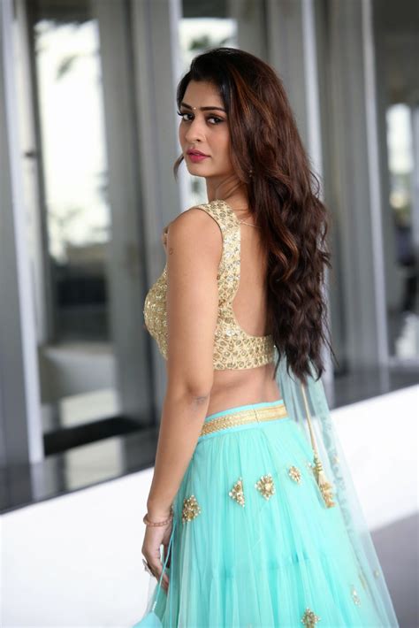 Beauty Galore Hd Payal Rajput Hot Hip Photos In Low