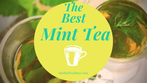 The 1 Best Mint Tea Hths Definitive 2020 Guide