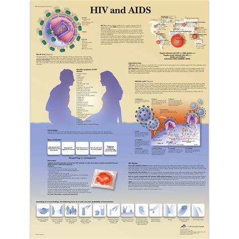Hiv And Aids Chart 1001610 3b Scientific Vr1725l Condom