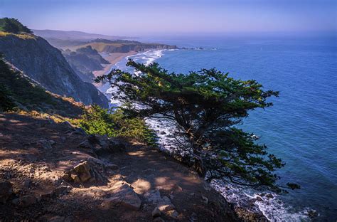 Ragged Point Cliffs Big Sur Photograph By Matthew Baugh Fine Art America