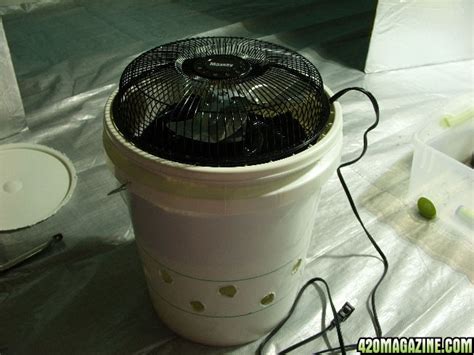 The algae takes the co2 and uses it for growth and in return, gives off oxygen which is released back into the surrounding air. Air Scrubber: Diy Carbon Air Scrubber
