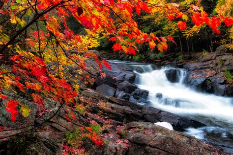 Fall Photos In Canada Remind You Why Its The Greatest Season