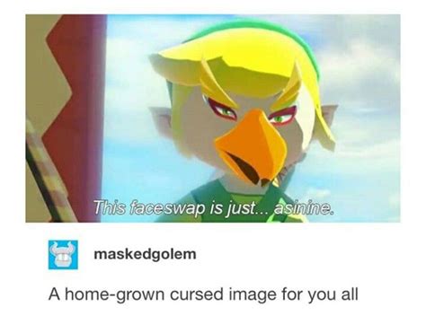 Lol Asinine Faceswap Toon Link Revali Ww Botw Legend Of Zelda Memes