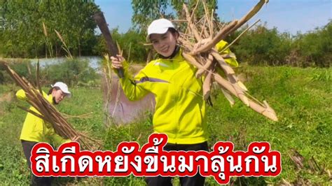 แบกไมหลาย ขหนาดน สาวมกดาวนเอาไปทำอะไร มาลนกนเลยจา YouTube