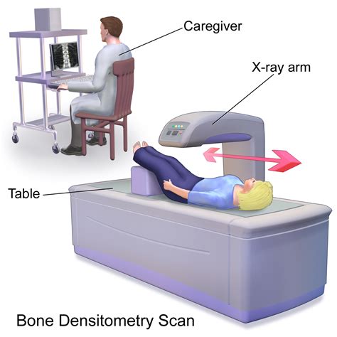 A routine bone mineral density test, or bone mass measurement, detects signs of osteoporosis.1 if detected, your doctor can take steps to help you. The Medical Screenings All Women Need, And When ...