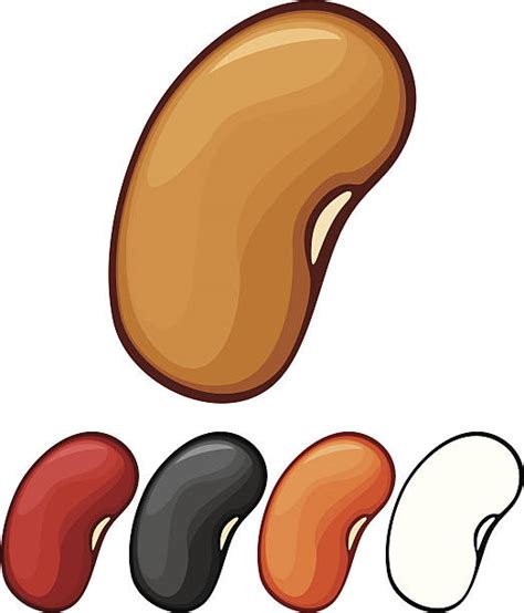 Bean Clip Art Vector Images And Illustrations Istock