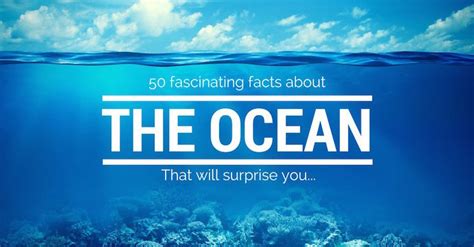 50 Fascinating Ocean Facts Surfer Dad