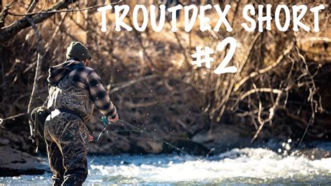 Troutdex Fly Fishing Short 2 Helton Creek North Carolina Youtube