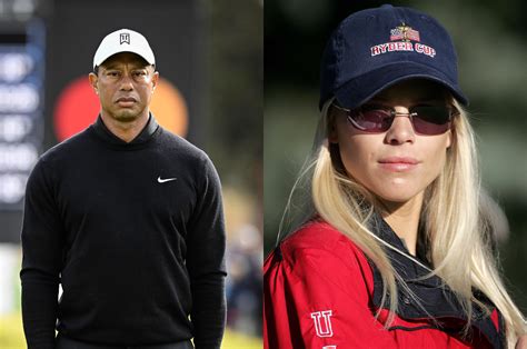 It Wasnt As Nice Tiger Woods And Ex Wife Elin Nordegren Inevitably
