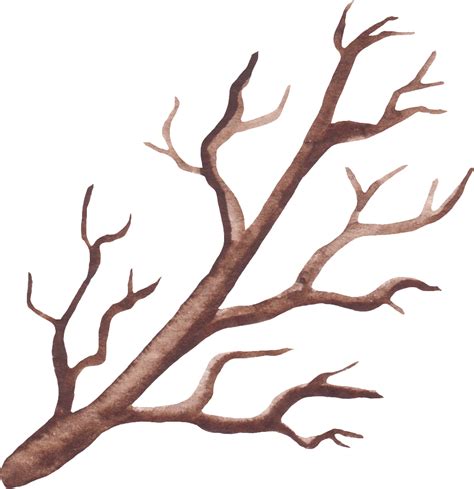 Twig Illustration Clipart Full Size Clipart 5460594 Pinclipart