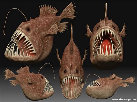 Paper Mache Angler Fish Rich Helms