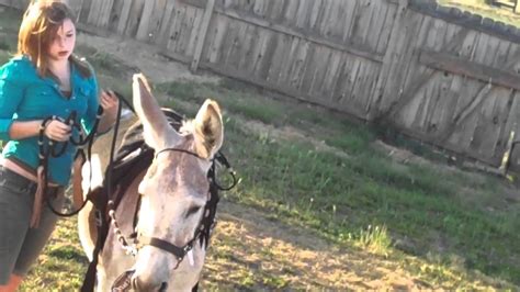 Trying To Ride My Donkey P Youtube