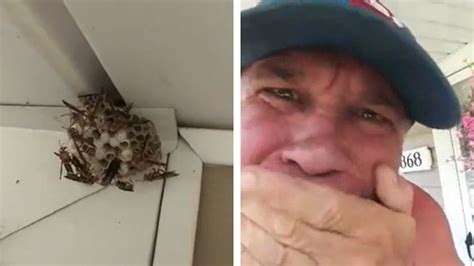 Man Grabs Hornets Nest With Bare Hands And Eats It