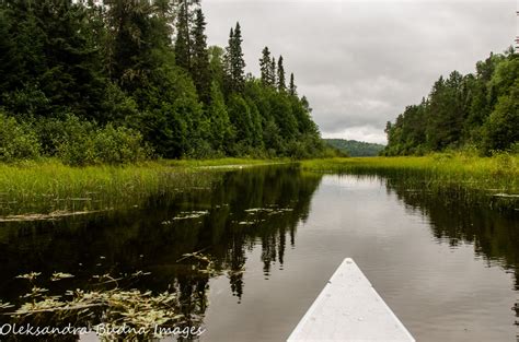 Four Days In Paddling Heaven Canoeing In Quetico Provincial Park