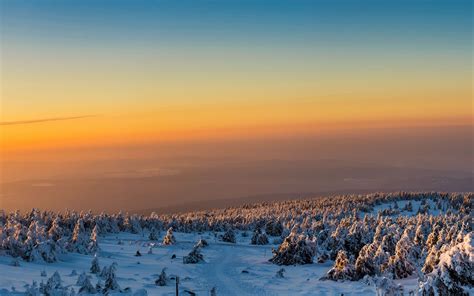 Download Wallpaper 3840x2400 Trees Forest Snow Winter Sunrise 4k