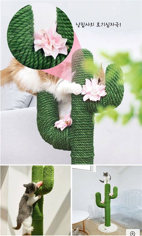 Cat Scratcher Cat Scratcher Dinosaur Stuffed Animal Cactus Crochet