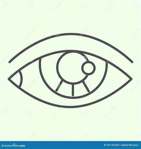 Human Eye Thin Line Icon Detailed Human Eyeball Organ Outline Style