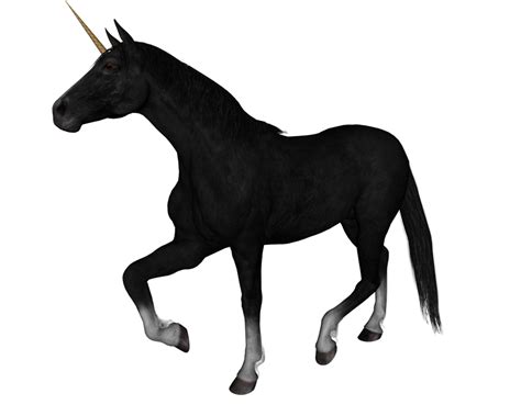 Unicorn PNG